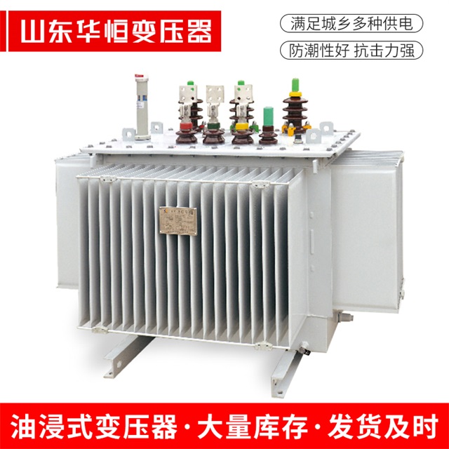 S13-10000/35治多治多治多电力变压器